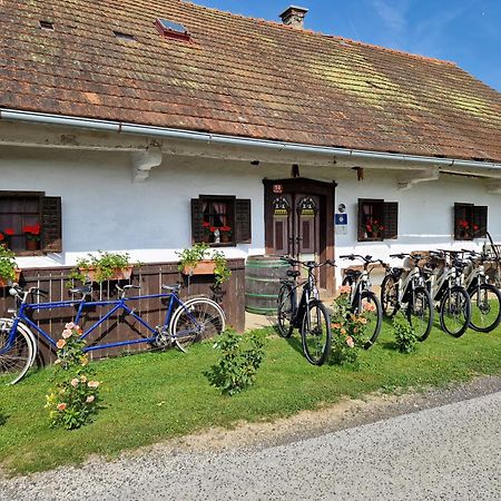 Homestay Kapl Ledinek エクステリア 写真