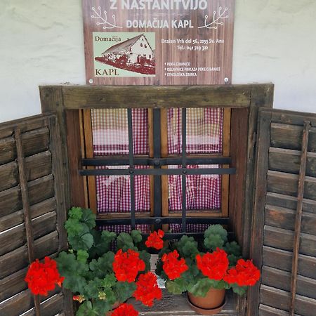 Homestay Kapl Ledinek エクステリア 写真