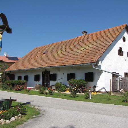 Homestay Kapl Ledinek エクステリア 写真