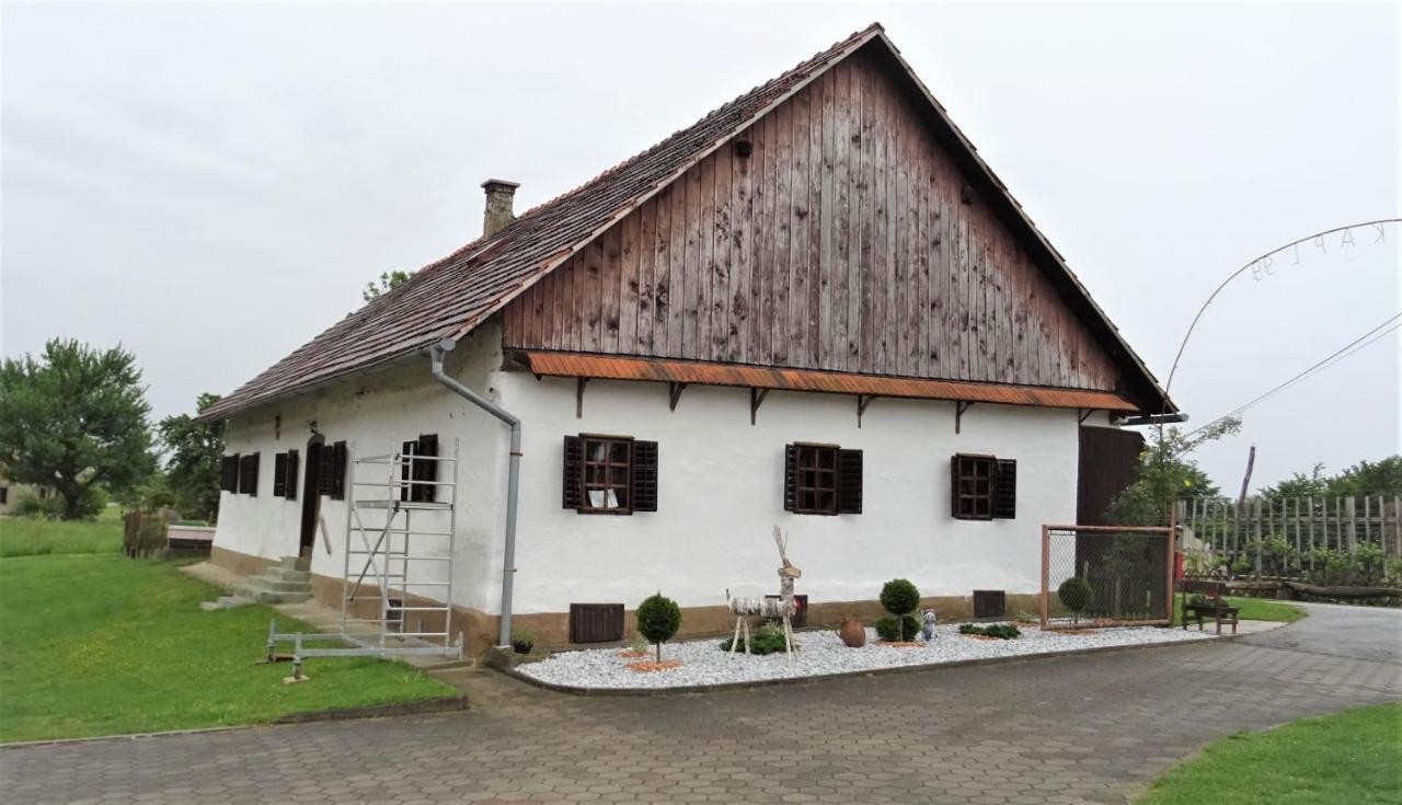 Homestay Kapl Ledinek エクステリア 写真