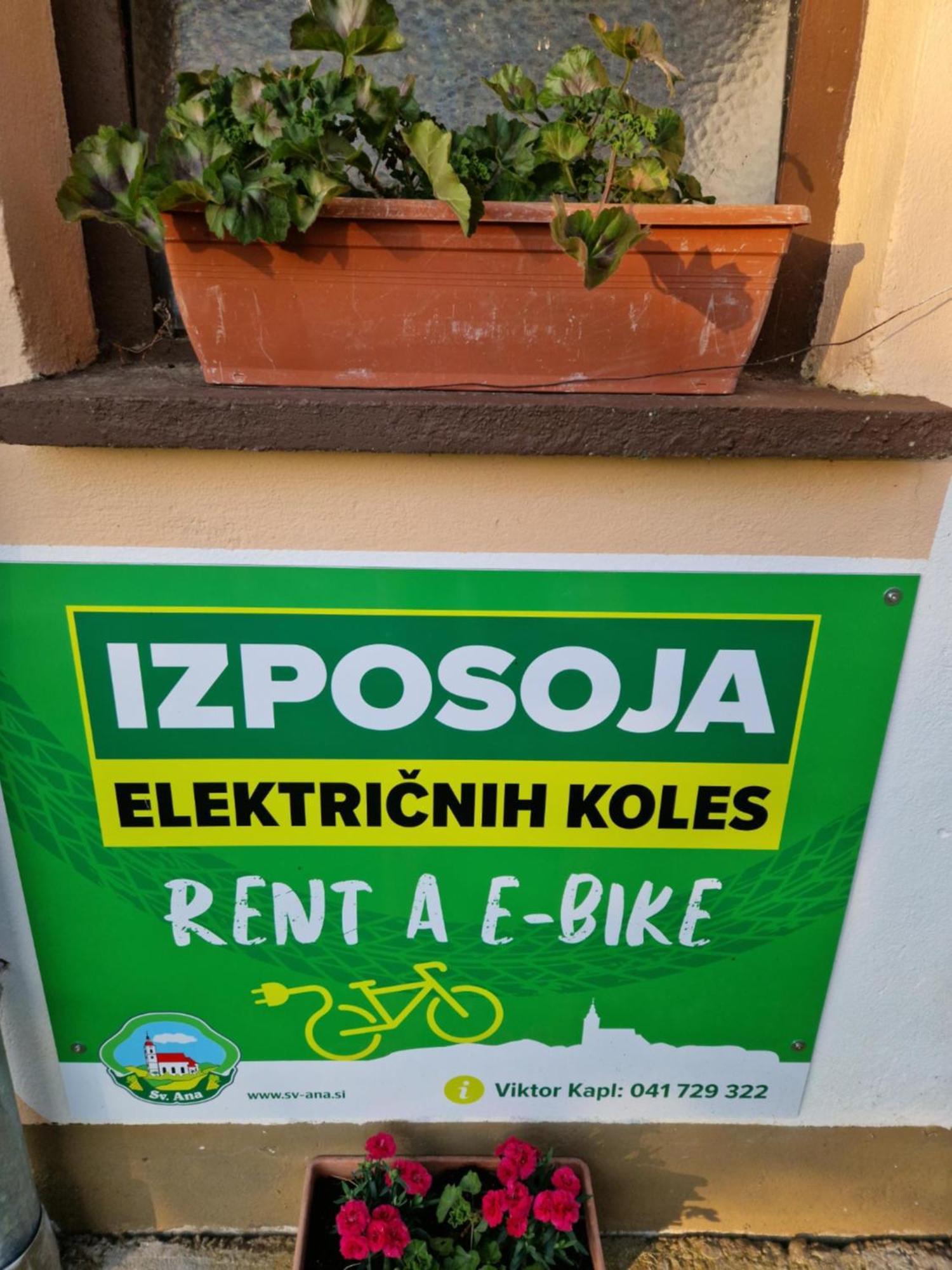 Homestay Kapl Ledinek エクステリア 写真