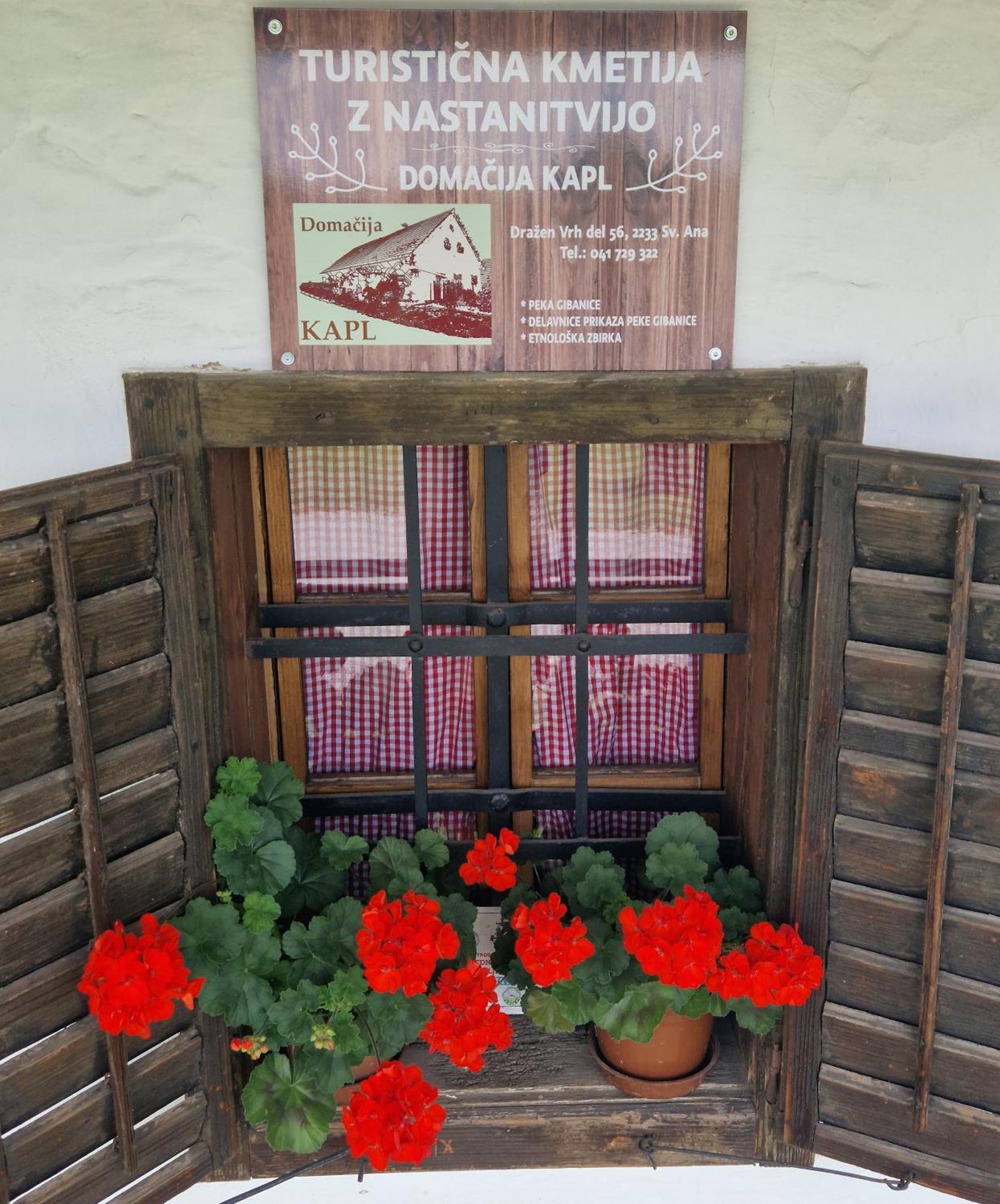 Homestay Kapl Ledinek エクステリア 写真