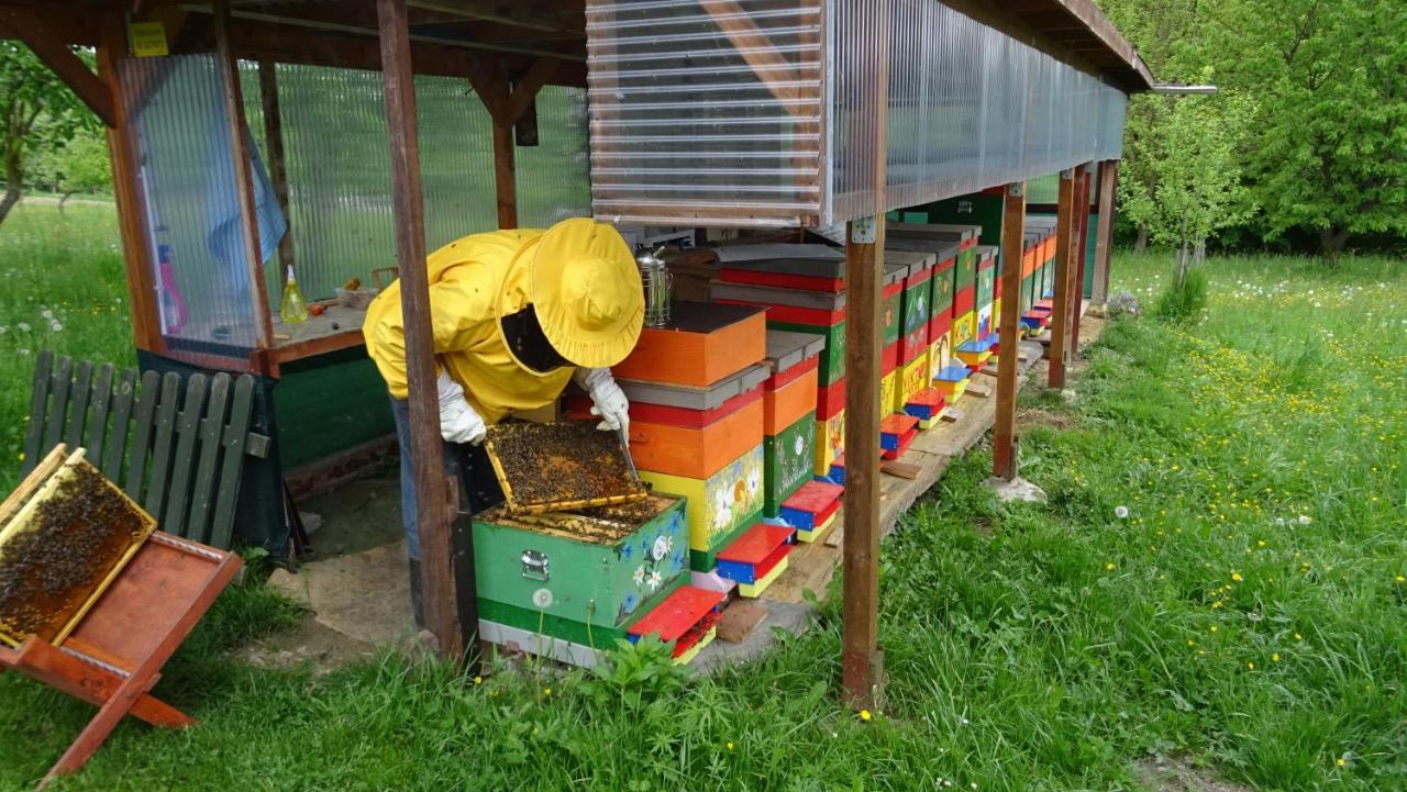 Homestay Kapl Ledinek エクステリア 写真