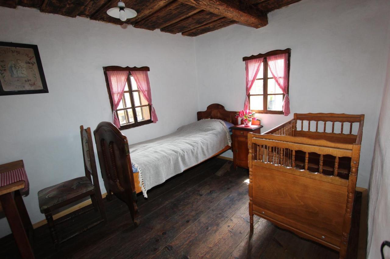 Homestay Kapl Ledinek エクステリア 写真