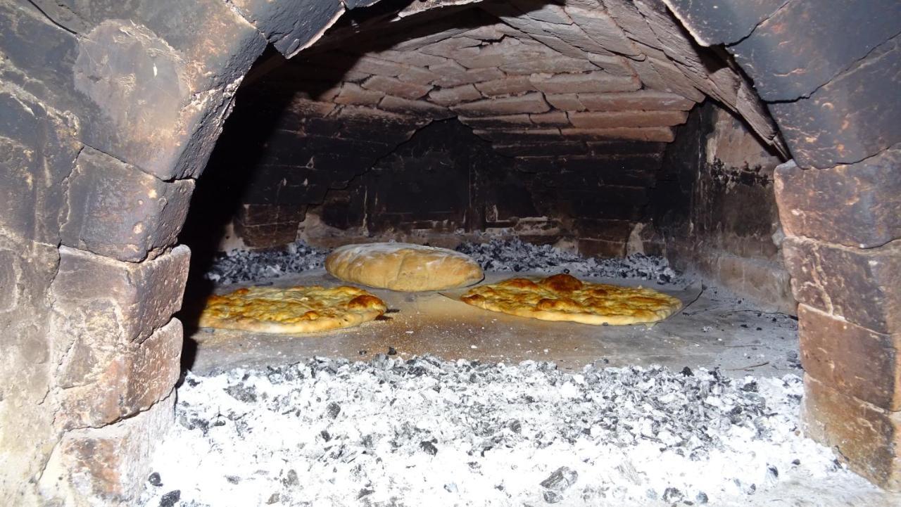 Homestay Kapl Ledinek エクステリア 写真