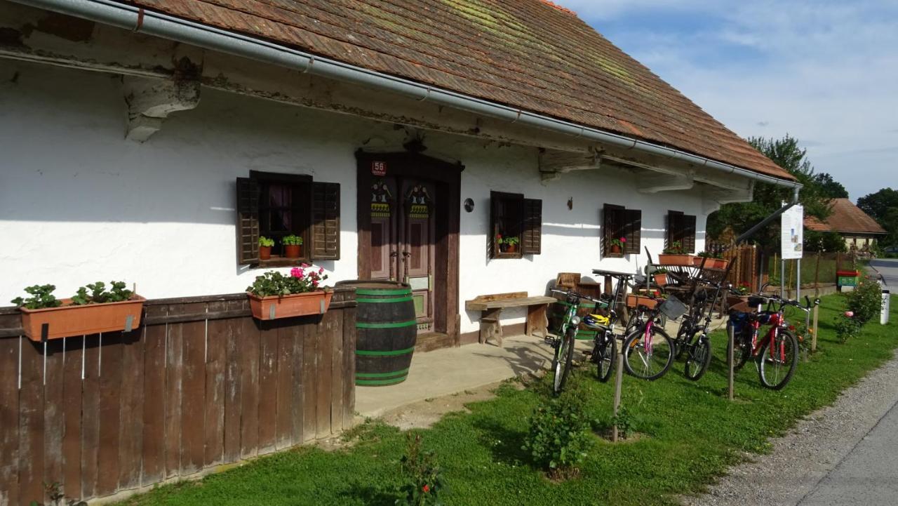 Homestay Kapl Ledinek エクステリア 写真