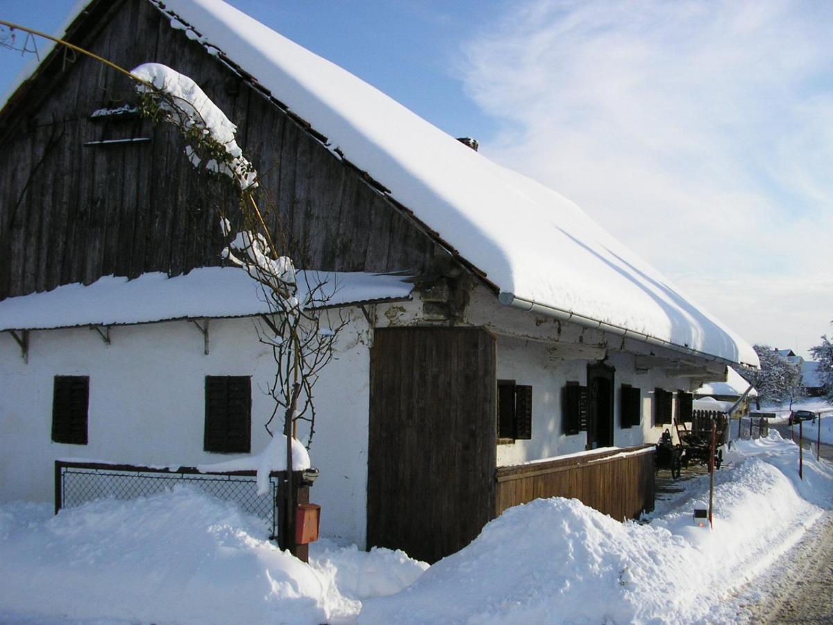 Homestay Kapl Ledinek エクステリア 写真