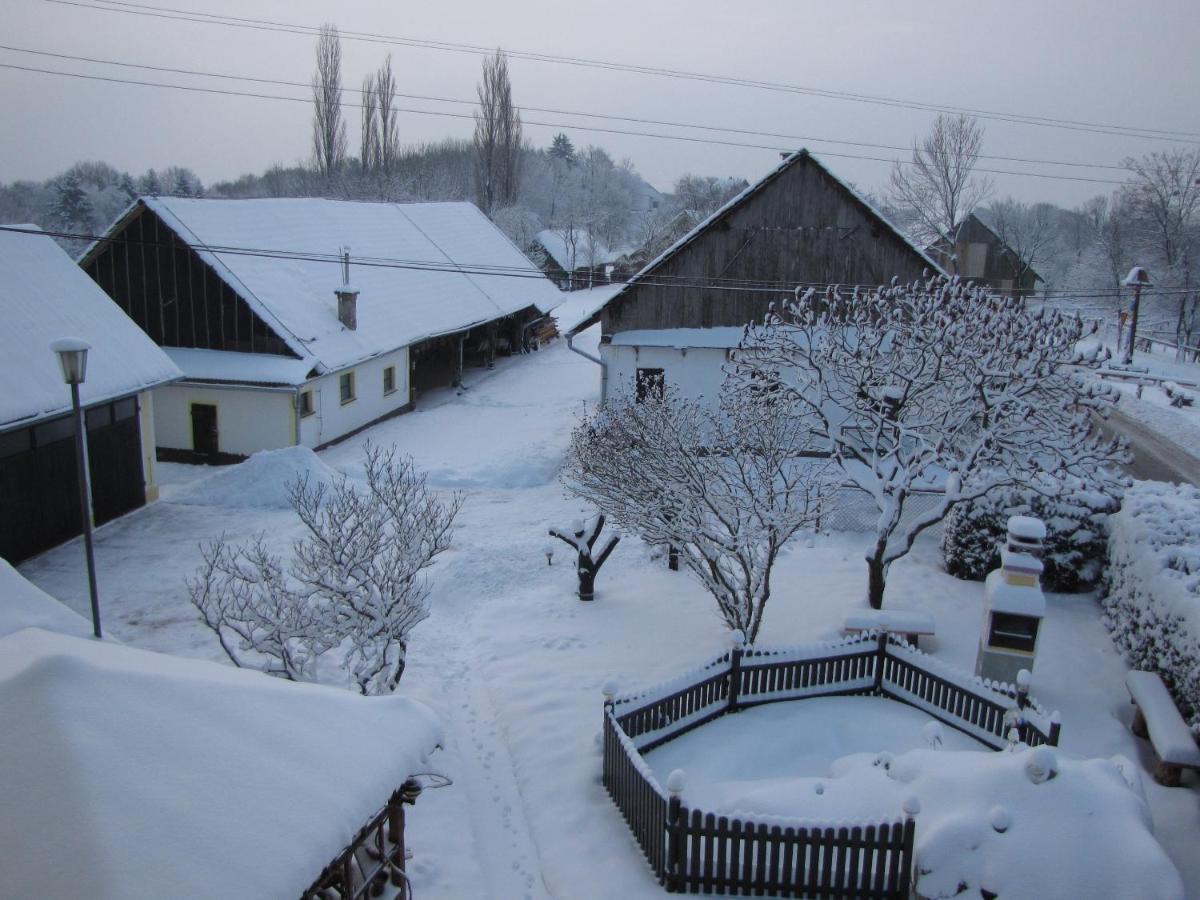 Homestay Kapl Ledinek エクステリア 写真